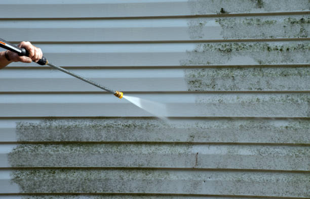 Best Commercial Mold Removal  in Queen City, TX